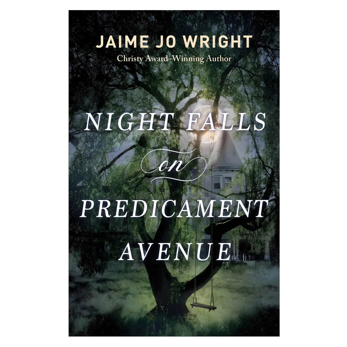 Night Falls On Predicament Avenue (Paperback) 1