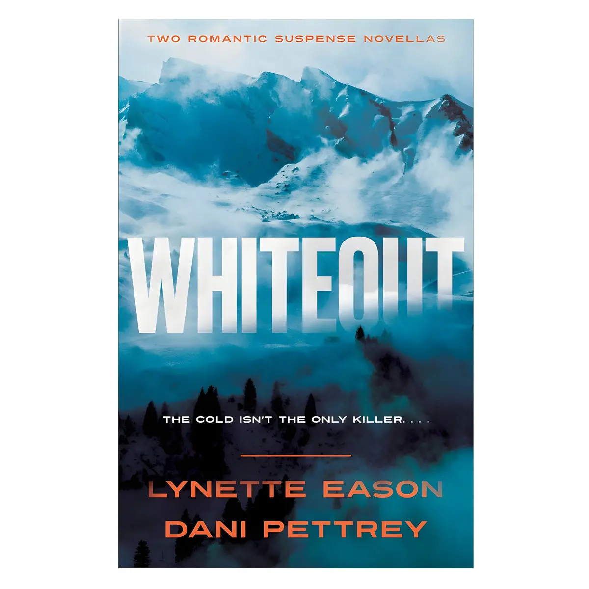 Whiteout: 2-In-1 Romantic Suspense Novella Collection (Paperback) 1