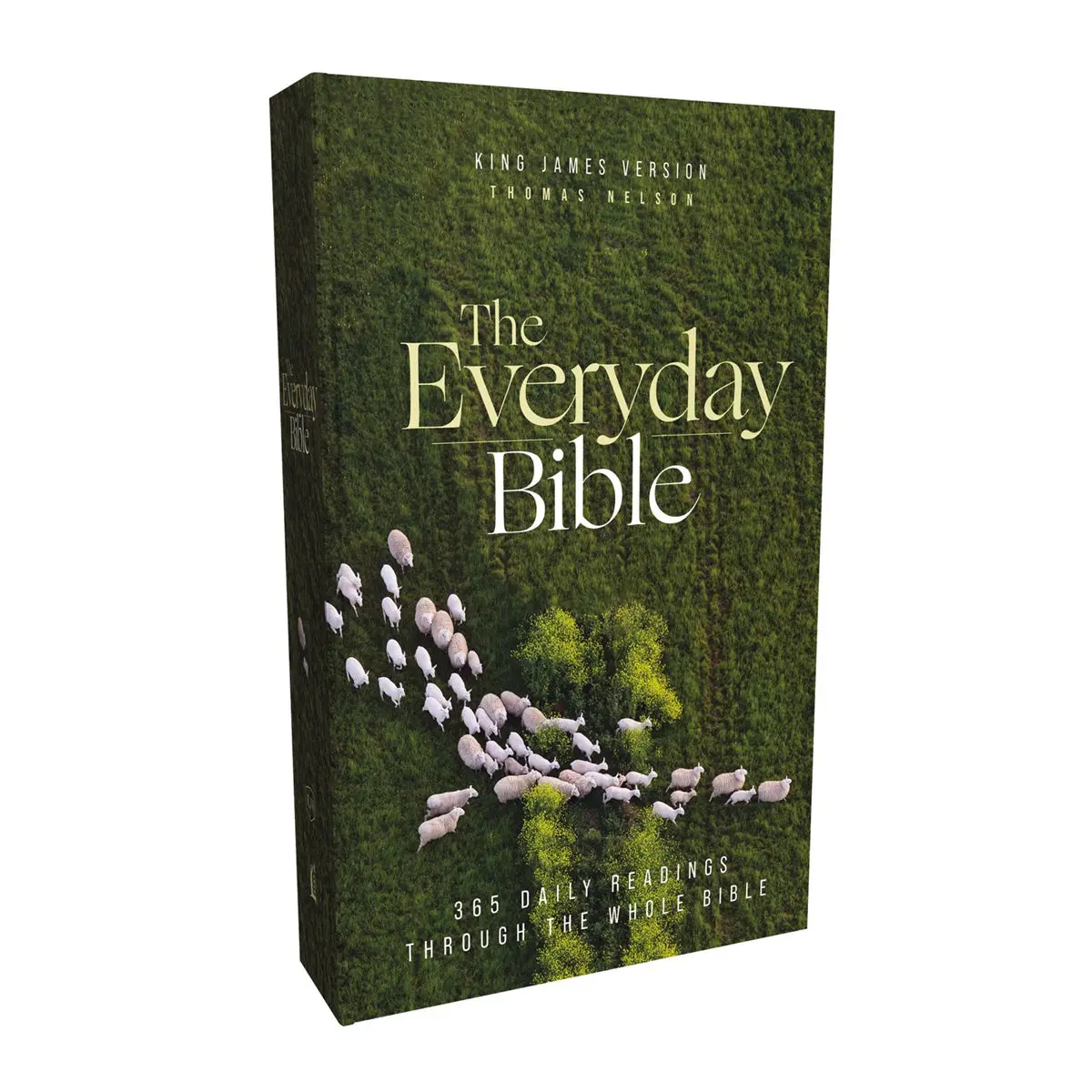 Kjv Everyday Bible Red Letter Comfort Print (Paperback) 1