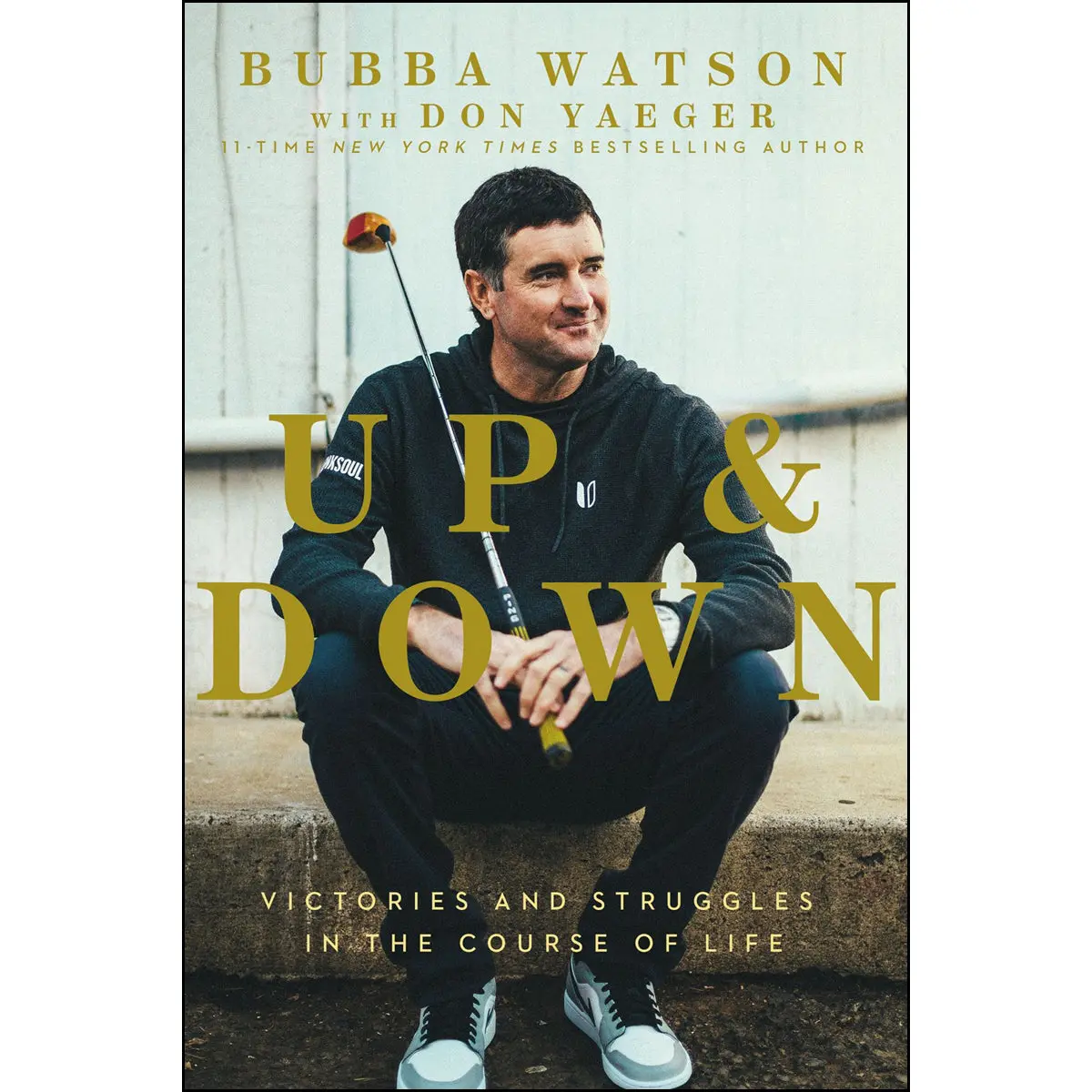 Up And Down: Victories And Struggles In The Course Of Life (Hardcover) 1