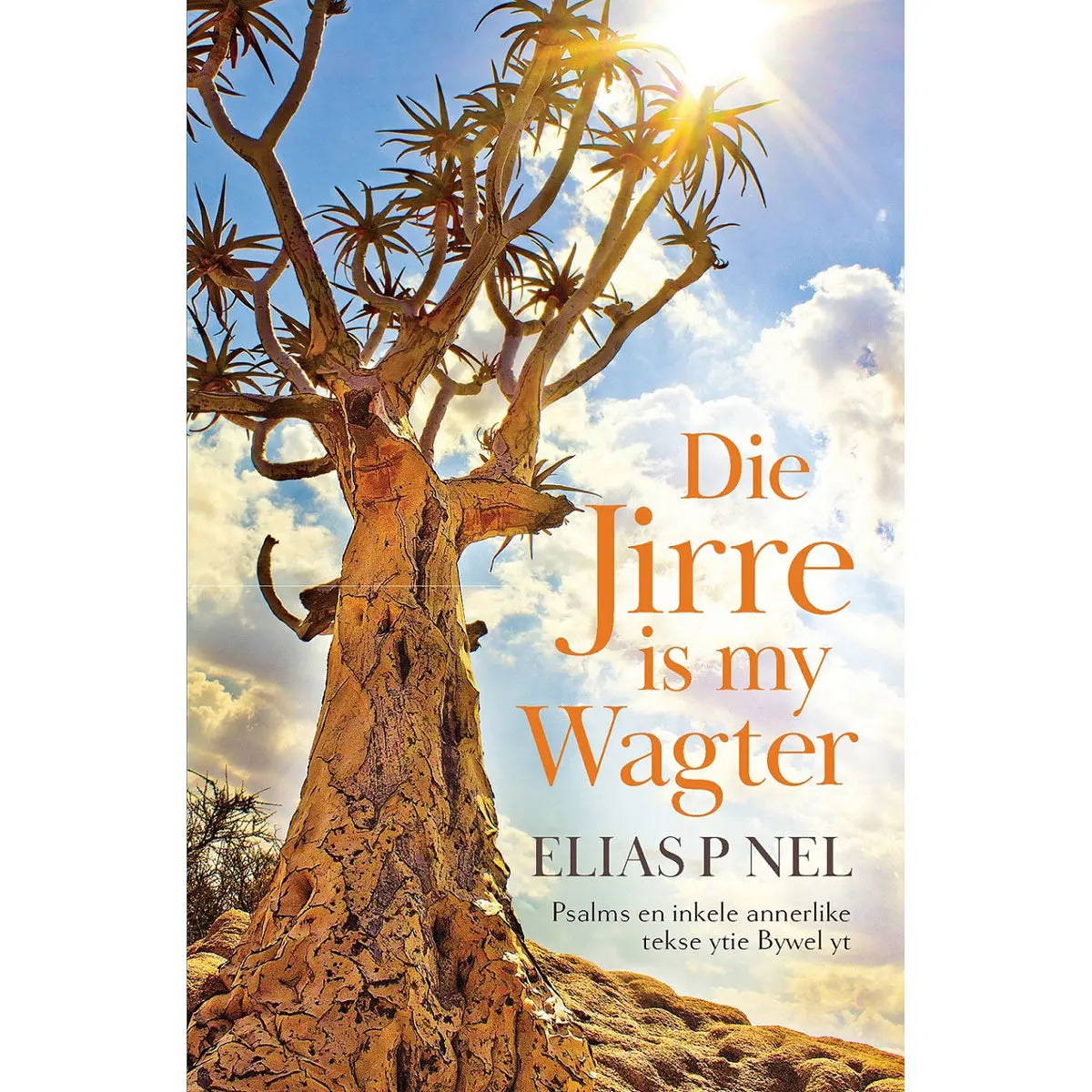 Die Jirre Is My Wagter: Psalms En Inkele Annerlike Tekse Ytie Bywel Yt (Sagteband) 1