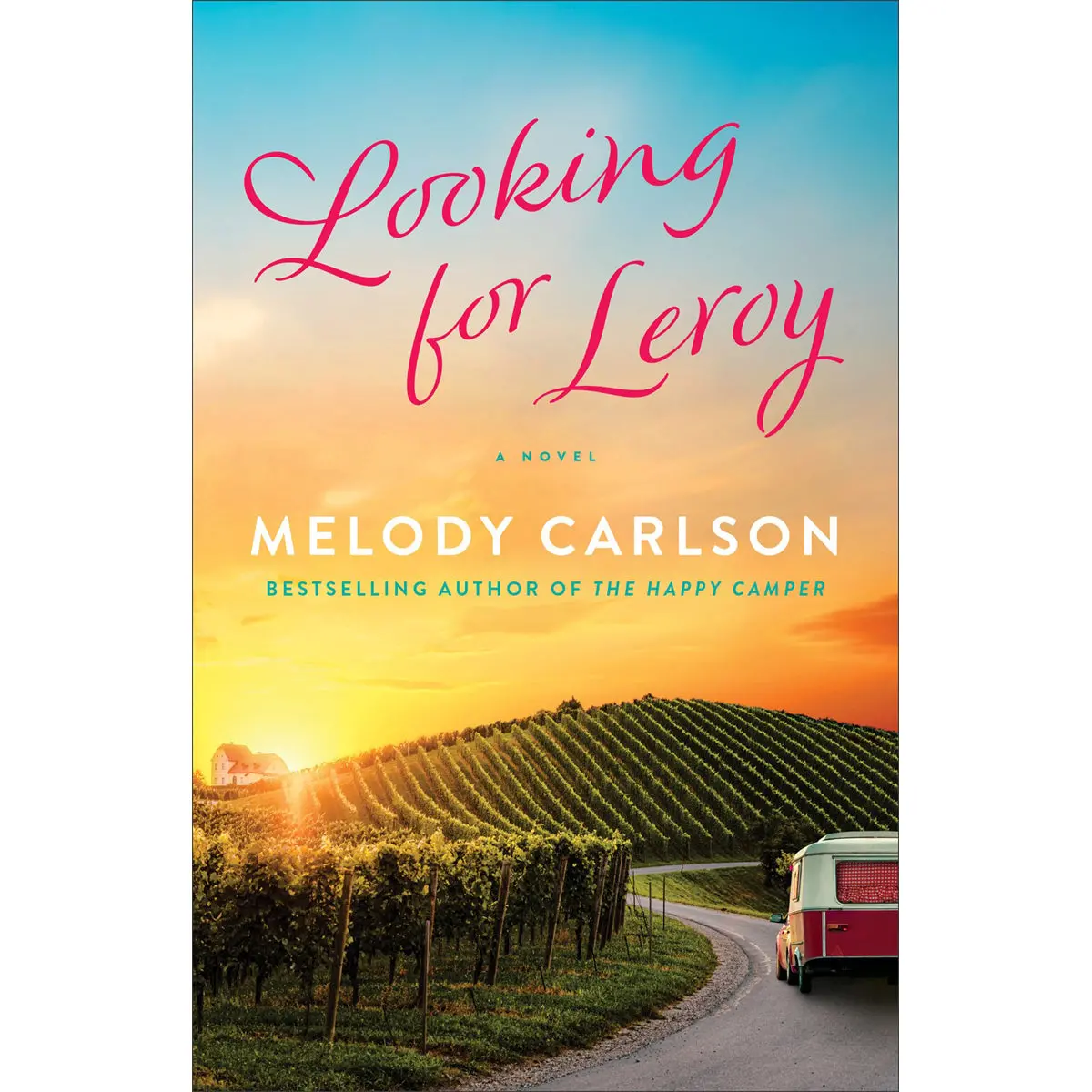 Looking For Leroy: A Novel (Paperback) 1