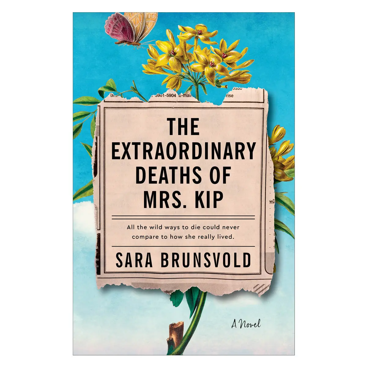 The Extraordinary Deaths Of Mrs Kip: A Novel (Paperback) 1