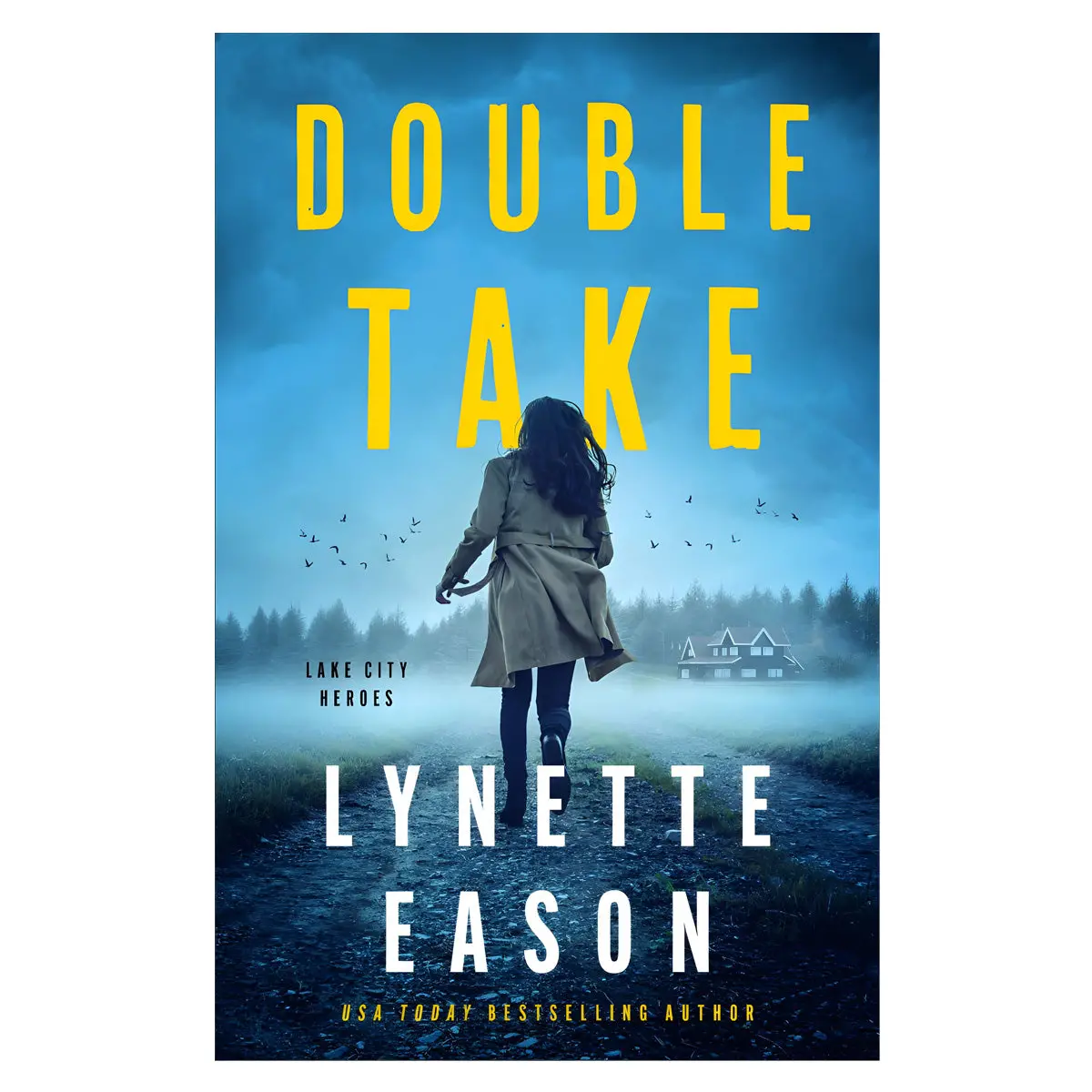 Double Take 1 Lake City Heroes (Paperback) 1
