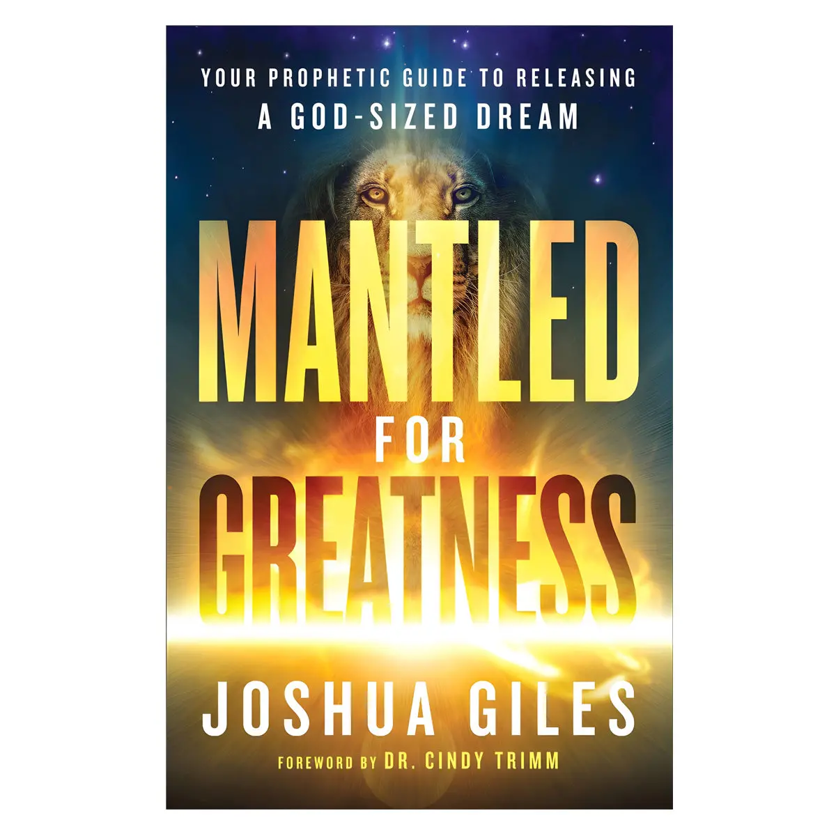 Mantled For Greatness: Your Prophetic Guide To Releasing A God-Sized Dream Pb 1