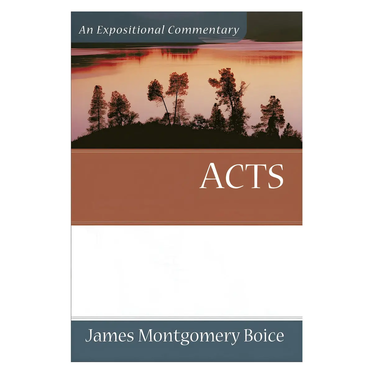 Acts - Expositional Commentary (Paperback) 1