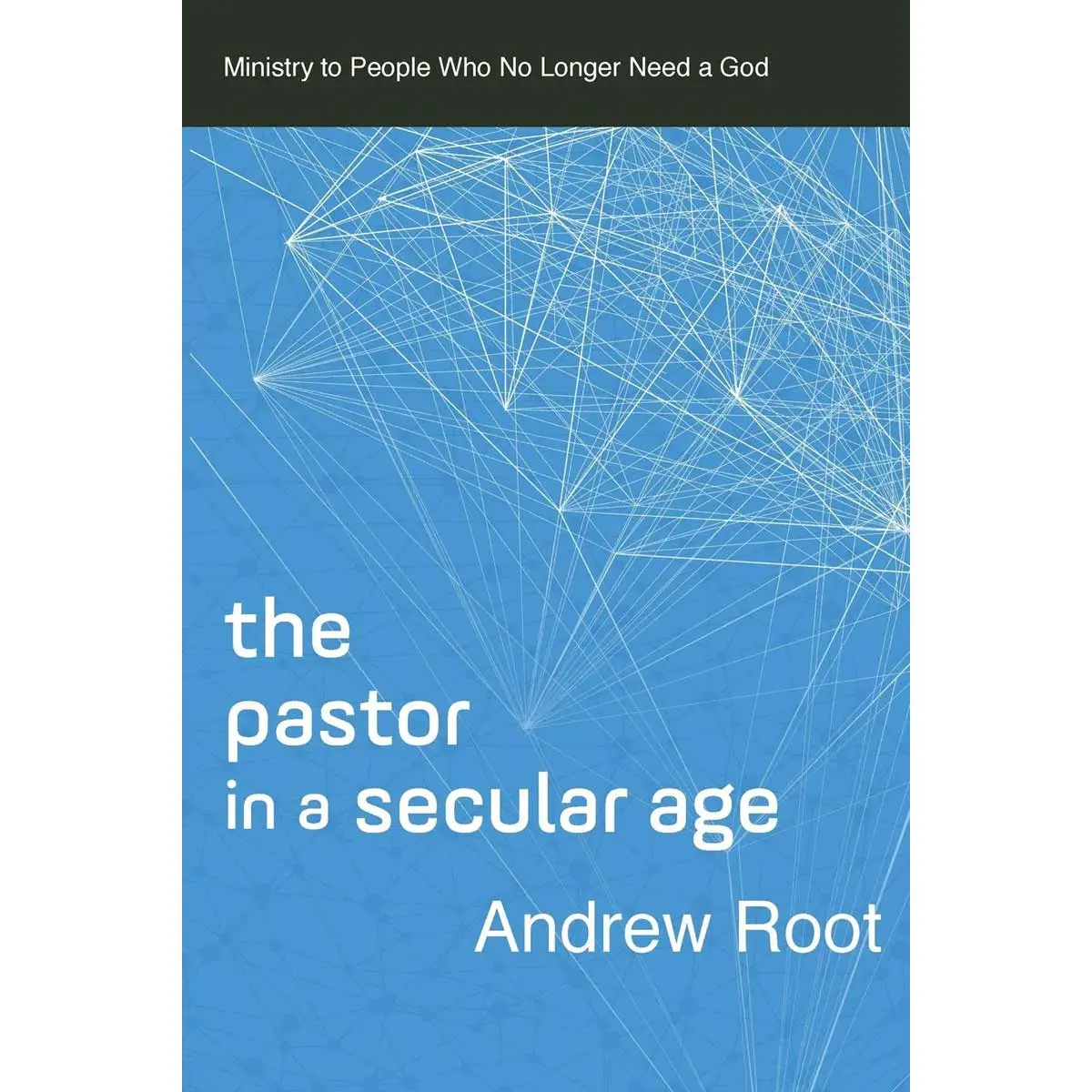 Pastor In A Secular Age (Ministry In A Secular Age)(Paperback) 1
