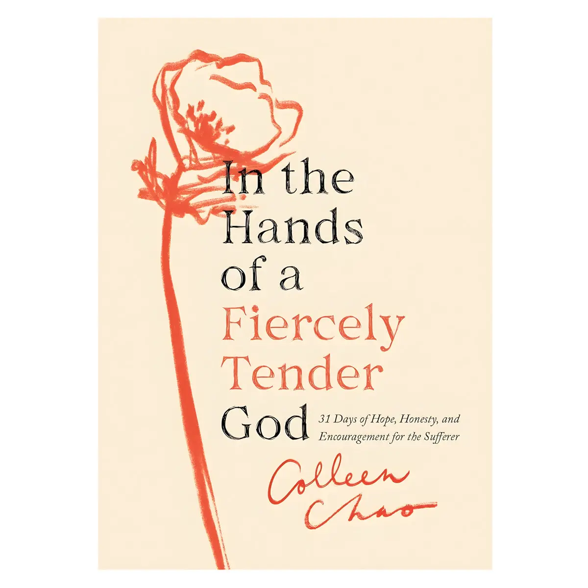 In The Hands Of A Fiercely Tender God: 31 Days Of Hope, Honesty, And Encouragement Pb 1