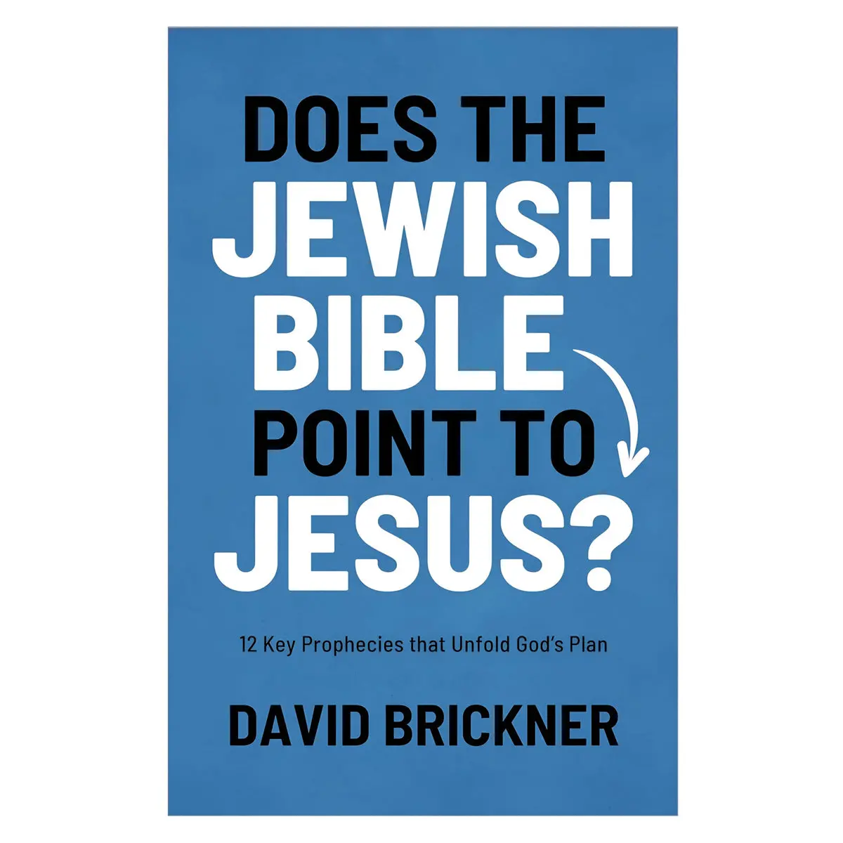 Does The Jewish Bible Point To Jesus?: 12 Key Prophecies (Paperback) 1