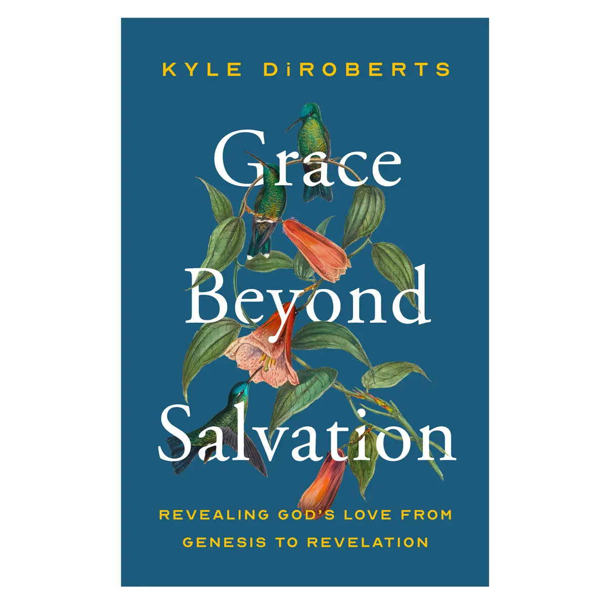 Grace Beyond Salvation: Revealing God's Love From Genesis To Revelation (Paperback) 1