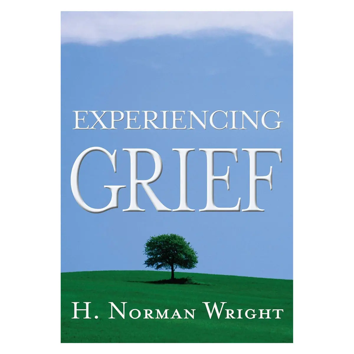 Experiencing Grief (Paperback) 1