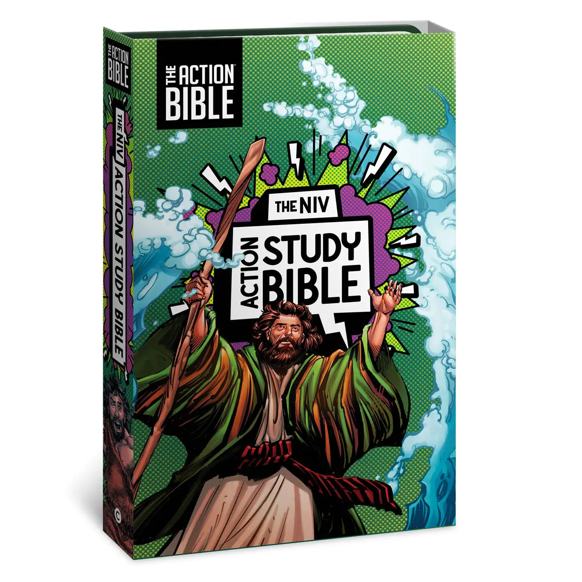 Niv Forest Imitation Leather Action Study Bible 2