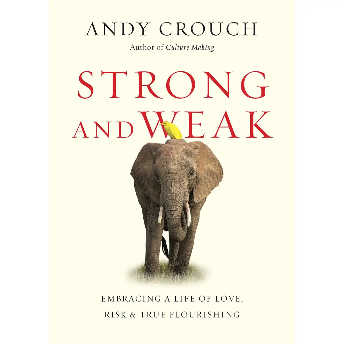 Strong And Weak (Paperback) 1
