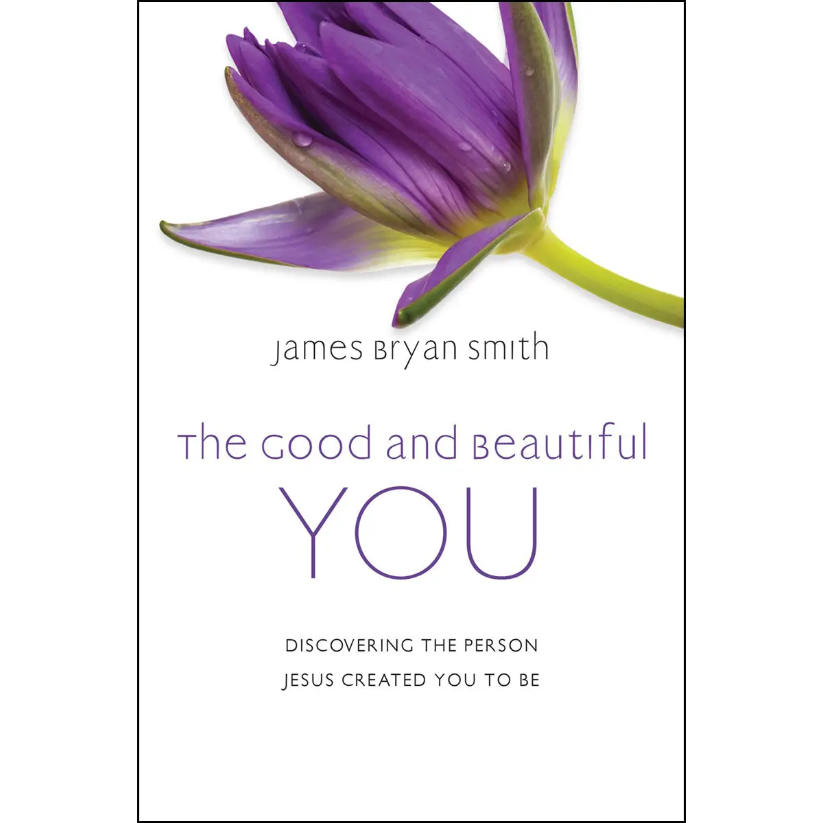 The Good And Beautiful You: Discovering The Person Jesus Created You To Be (Hardcover) 1