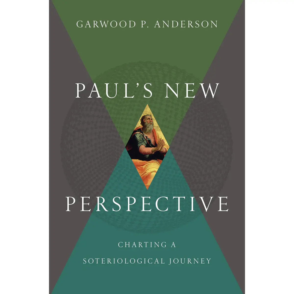 Paul's New Perspective (Hardcover) 1