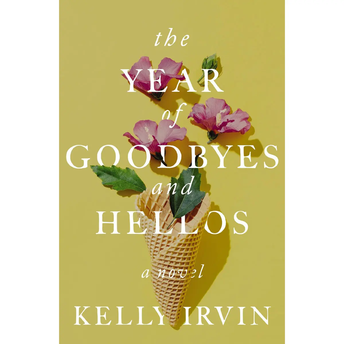 The Year Of Goodbyes And Hellos: A Novel (Paperback) 1