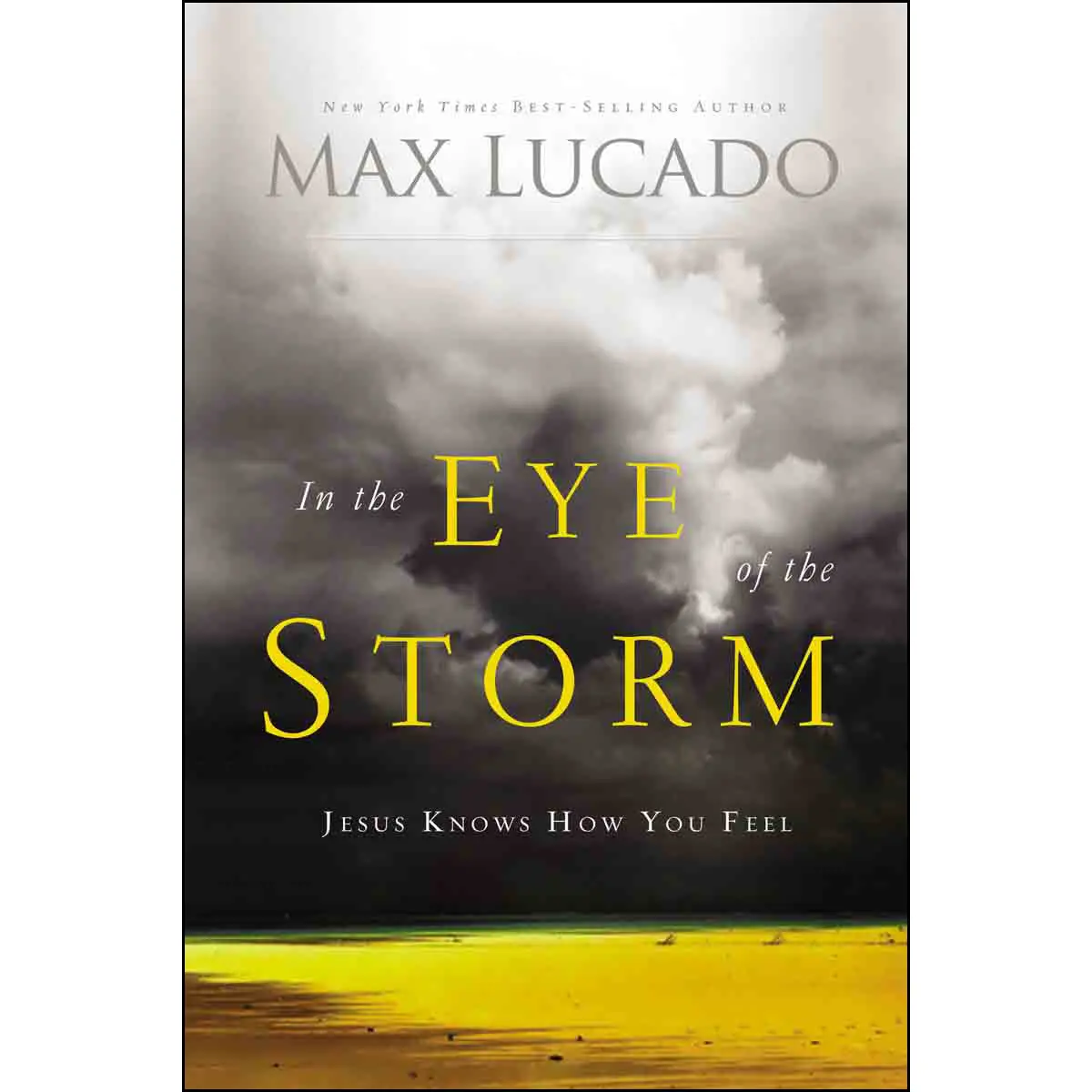 In The Eye Of The Storm (Paperback) 1