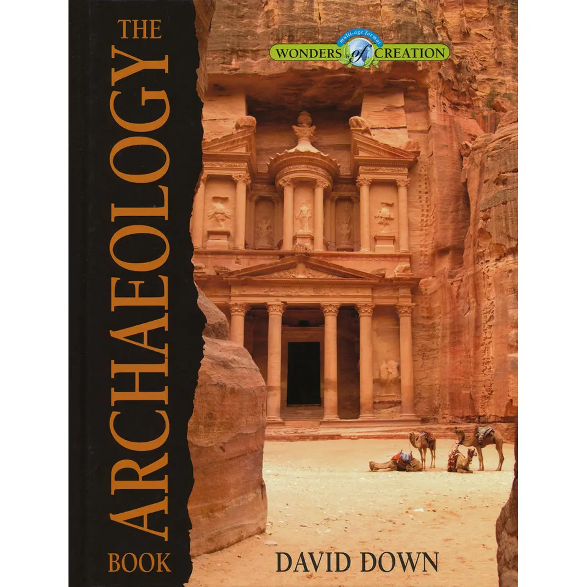 The Archaeology Book (Hardcover) 1