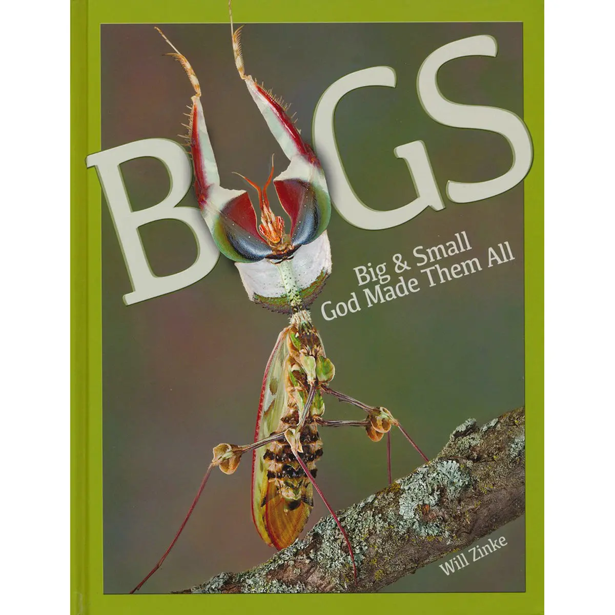 Bugs: Big And Small God Made Them All (Hardcover) 1