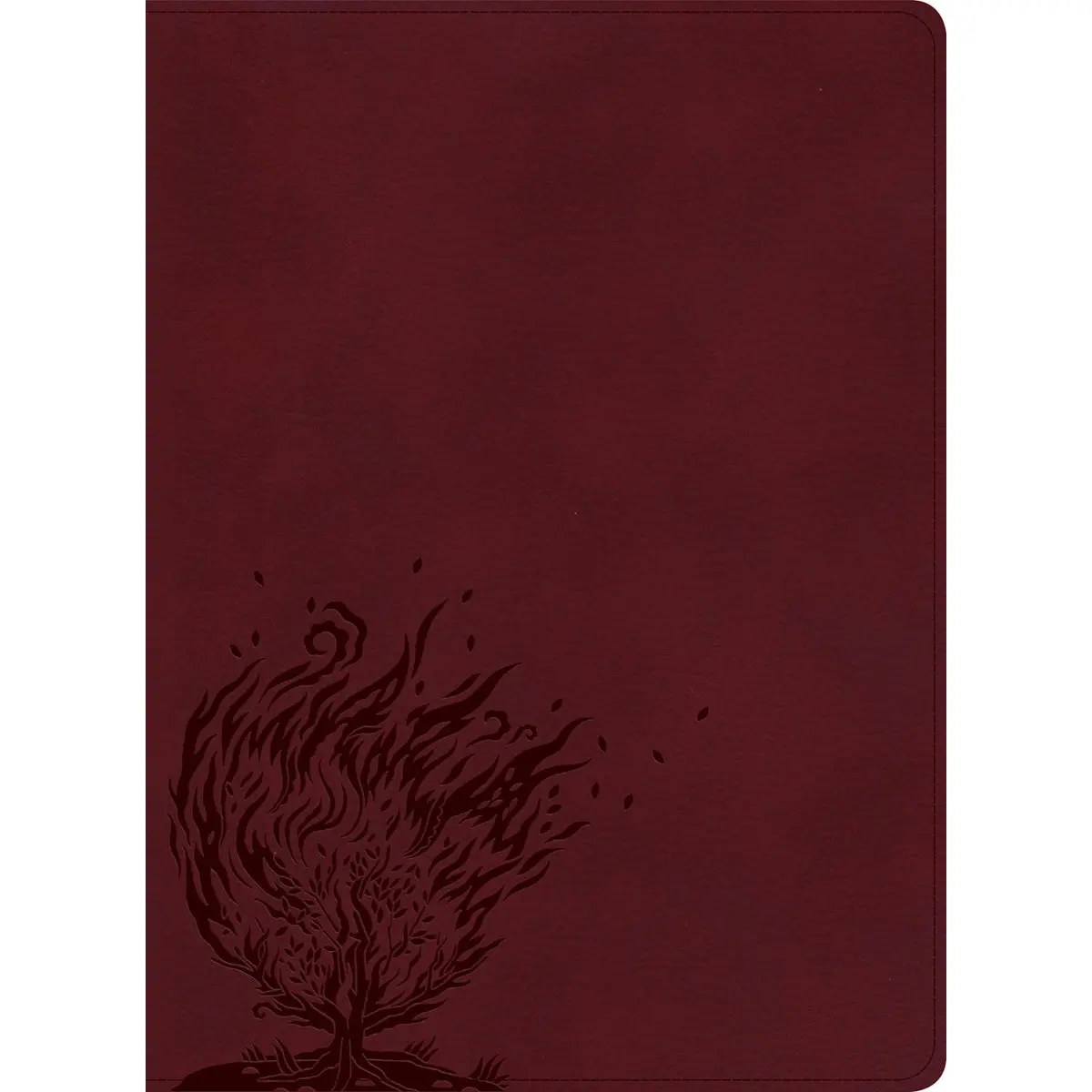 Csb Experiencing God Bible Burgundy (Imitation Leather) 1