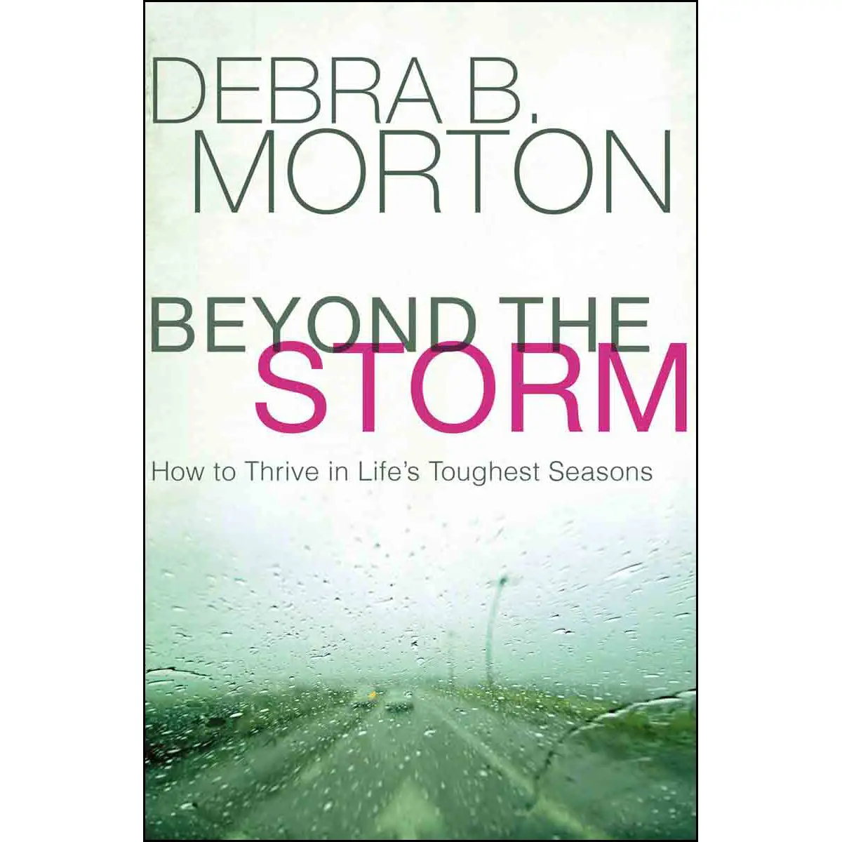 Beyond The Storm: How To Thrive In Lifes Toughest Seasons (Hardcover) 1