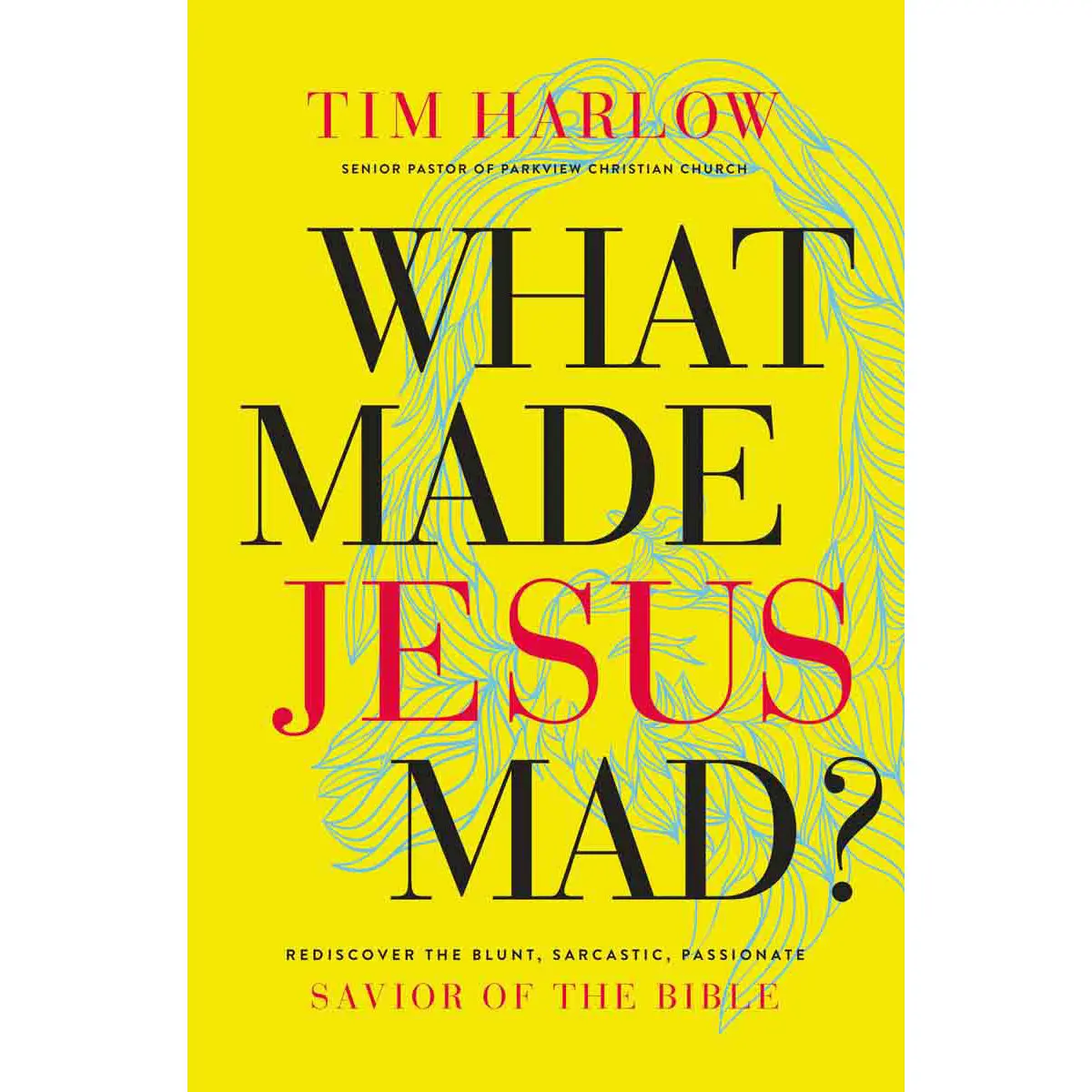 What Made Jesus Mad? (Paperback) 1