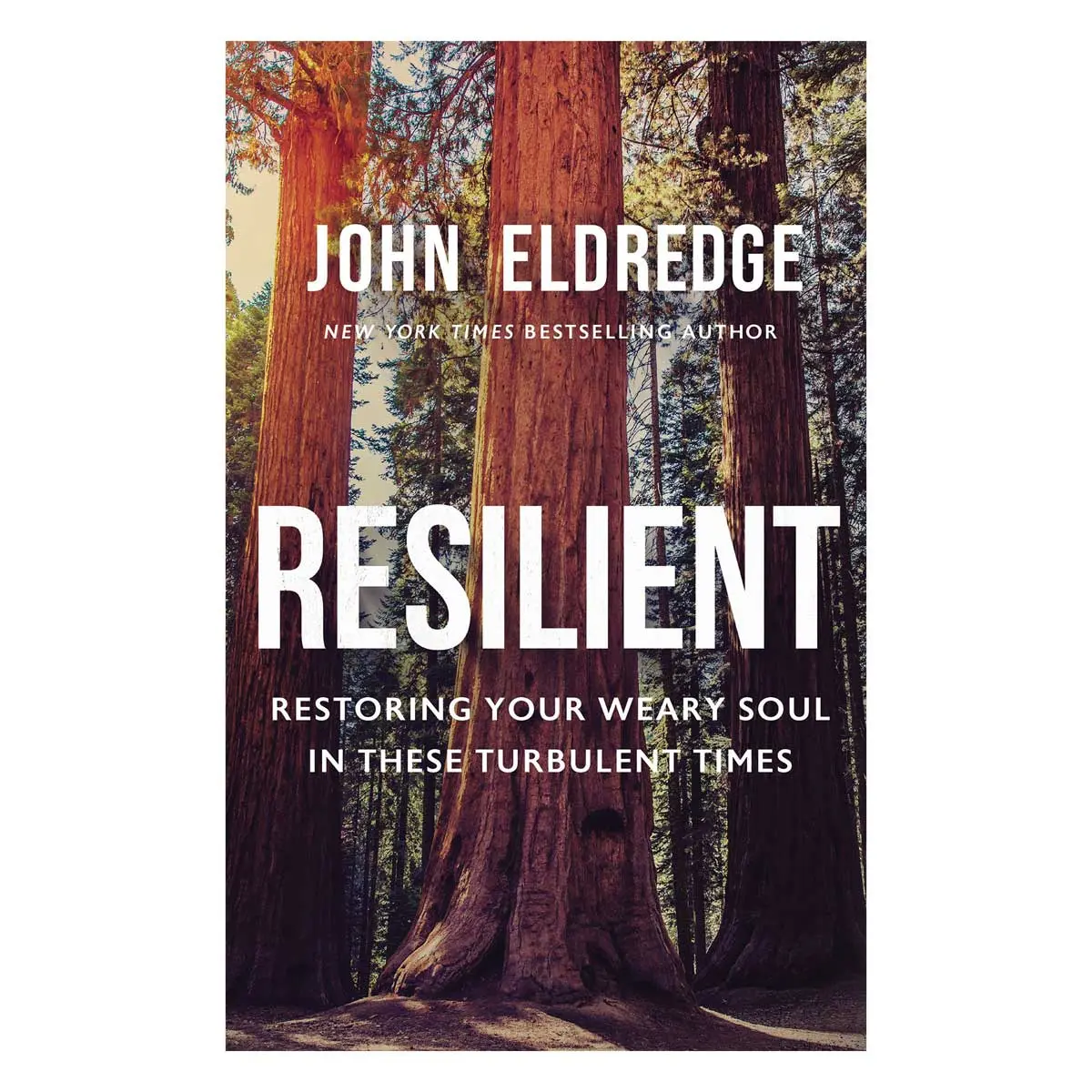 Resilient: Restoring Your Weary Soul In Turbulent Times (Paperback) 1