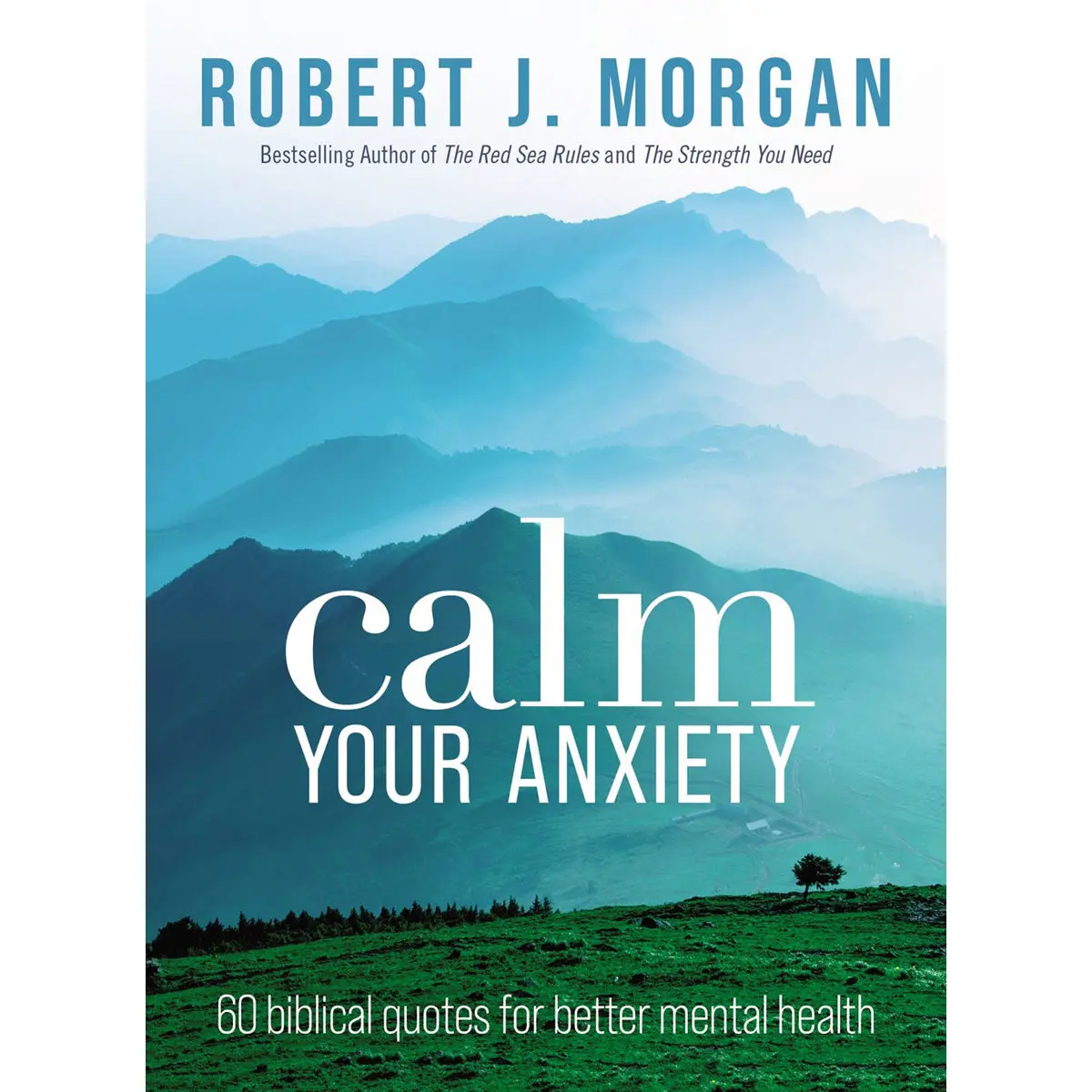 Calm Your Anxiety: 60 Biblical Quotes For Better Mental Health (Paperback) 1