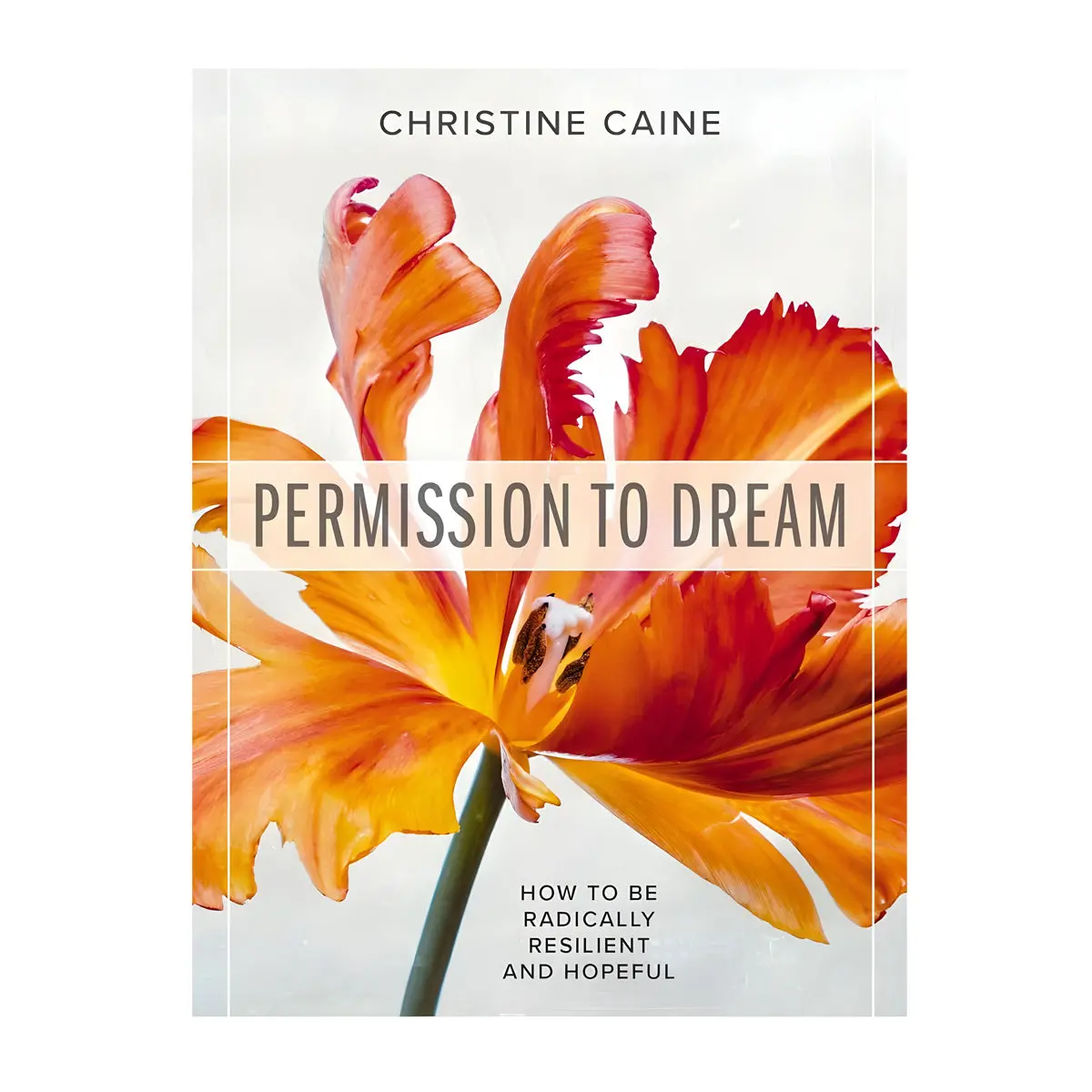 Permission To Dream: How To Be Radically Resilient And Hopeful (Paperback) 1