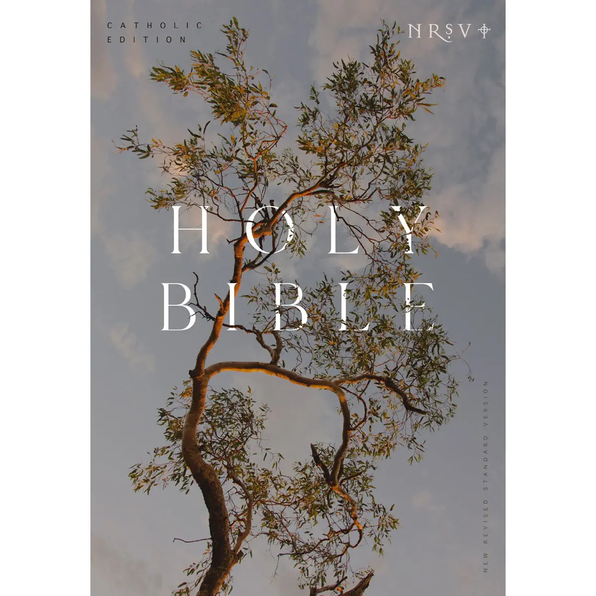 Nrsv Eucalyptus Paperback Catholic Edition Holy Bible Global Cover Series 1