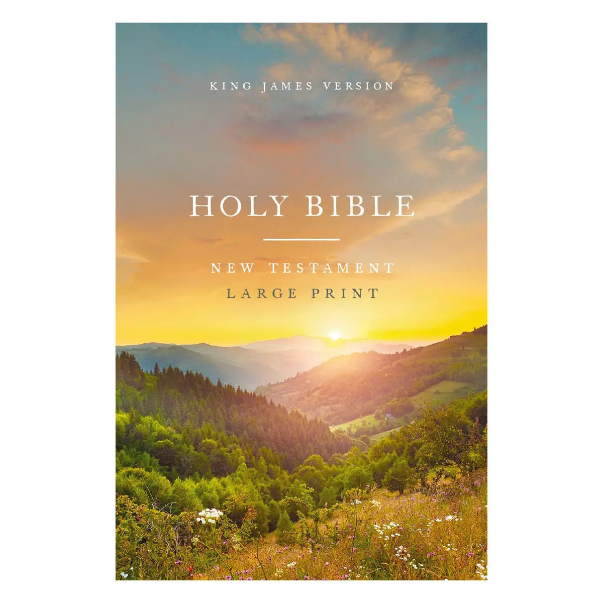 Kjv Scenic Paperback Outreach New Testament Bible Large Comfort Print 1