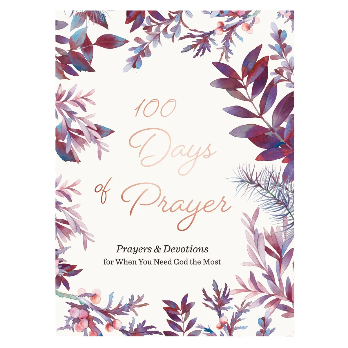 100 Days Of Prayer: Prayers & Devotions For When You Need God The Most (Hardcover) 1