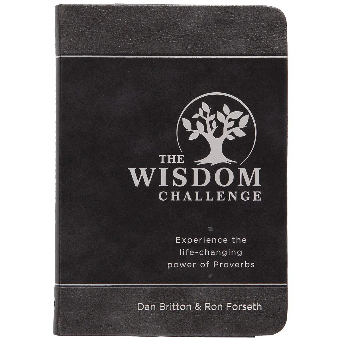 The Wisdom Challenge: Experience The Life-Changing Power Of Proverbs (Imitation Leather) 1