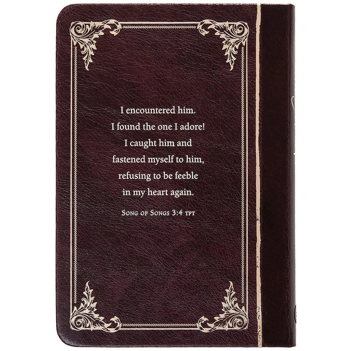 The Encounter: 40 Days Of Fasting With Jesus (Imitation Leather) 2