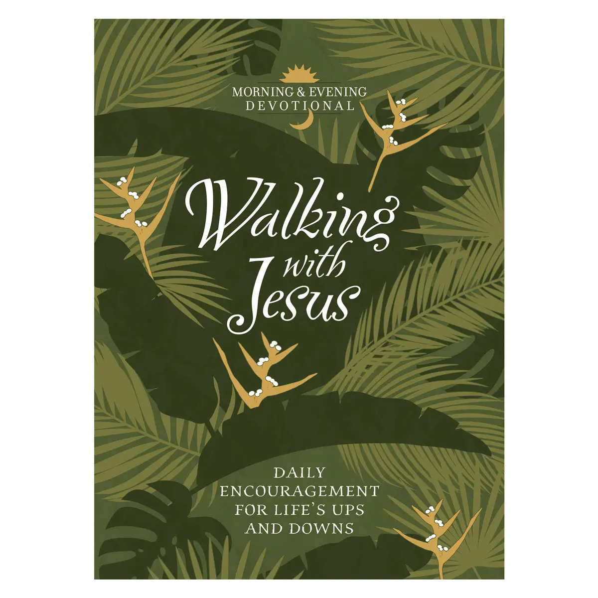 Walking With Jesus: Daily Encouragement For Life's Ups And Downs (Imitation Leather) 1