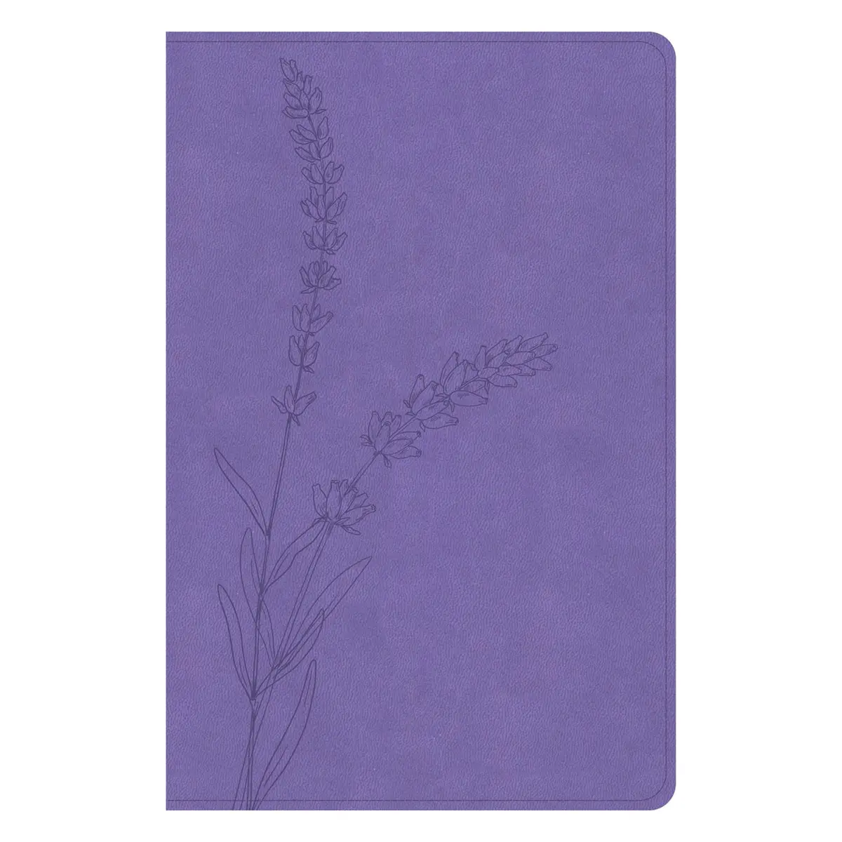 Kjv Lavender Imitation Leather Personal Size Bible Giant Print Indexed 1