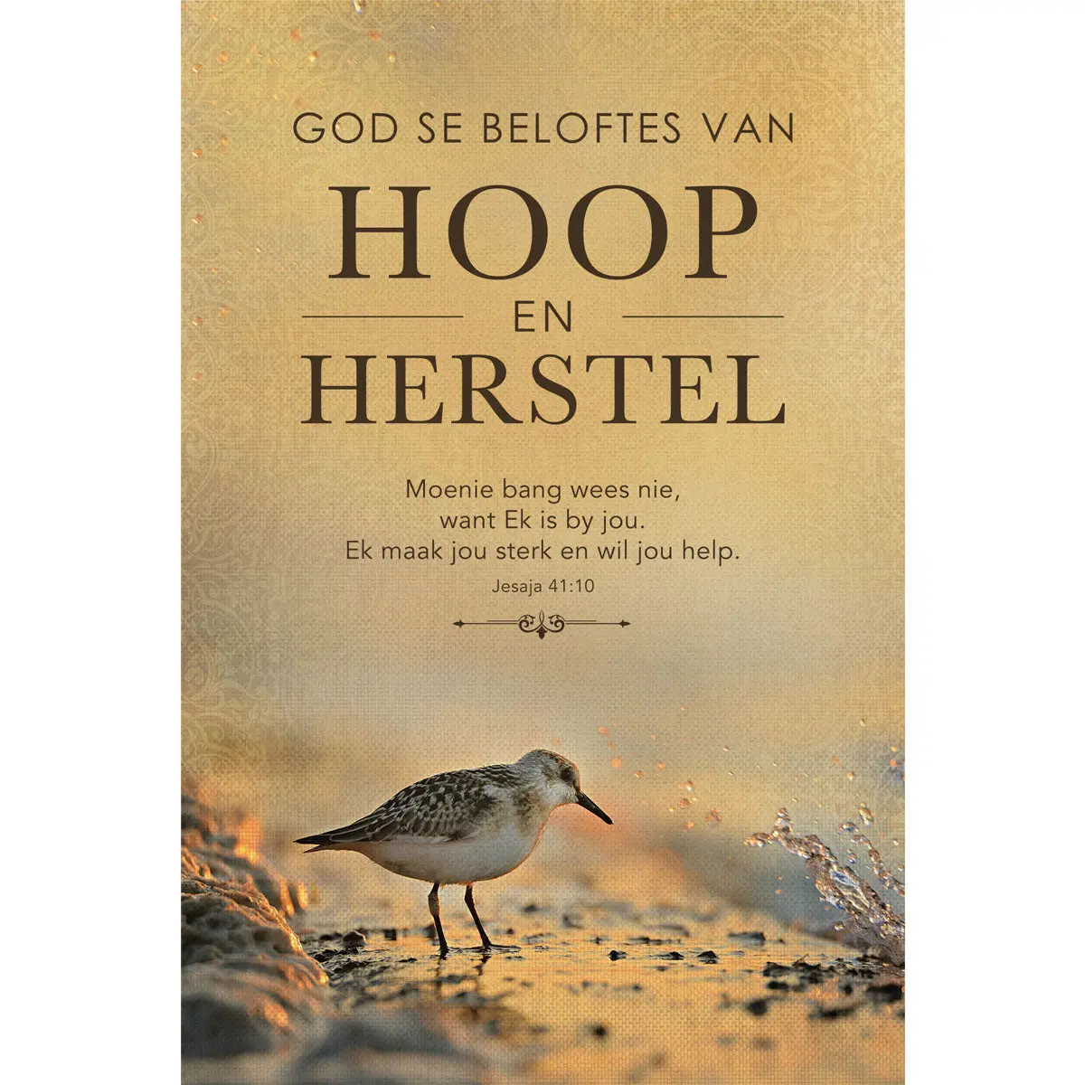 God Se Beloftes Van Hoop En Herstel (Sagteband) 1