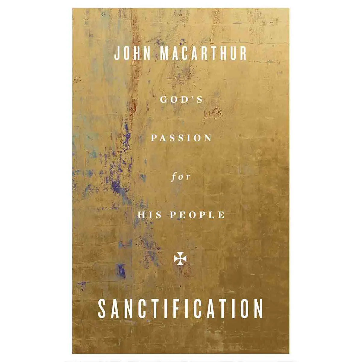 Sanctification: God's Passion For His People (Paperback) 1