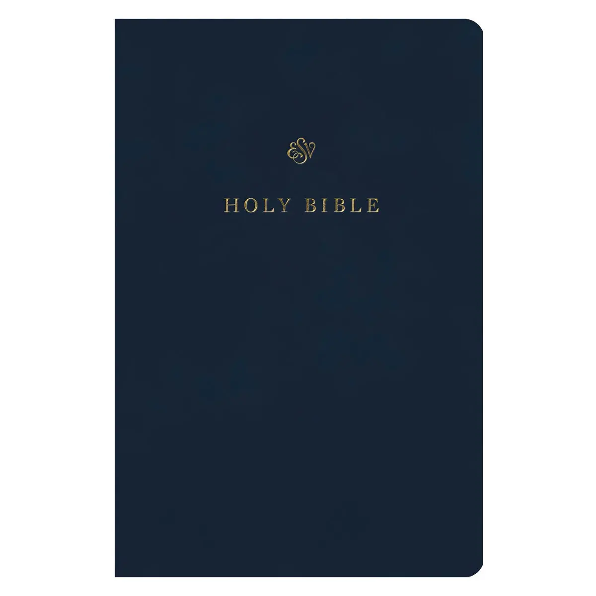 Esv Blue Imitation Leather Gift And Award Bible 1