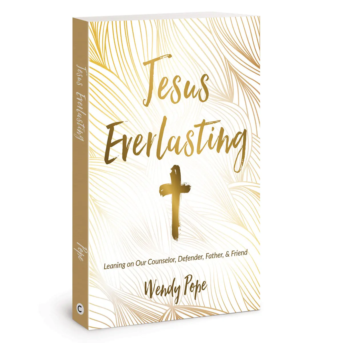 Jesus Everlasting: Leaning On Our Counselor, Defender, Father & Friend (Paperback) 1