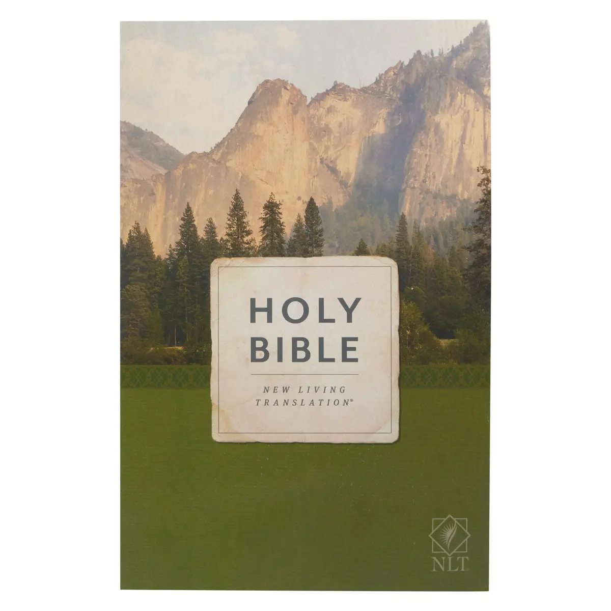 Nlt Economy Outreach Bible (Paperback) 1