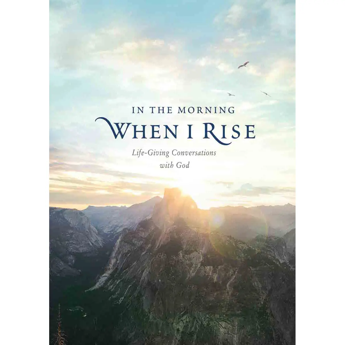 In The Morning When I Rise (Hardcover) 1