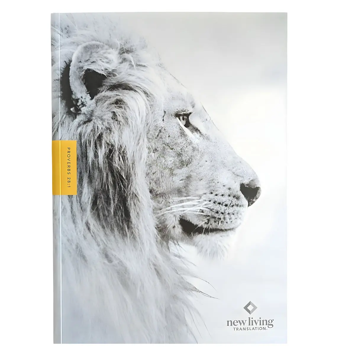 Nlt Courage For Life Filament Enabled Study Bible For Men (Hardcover) 1