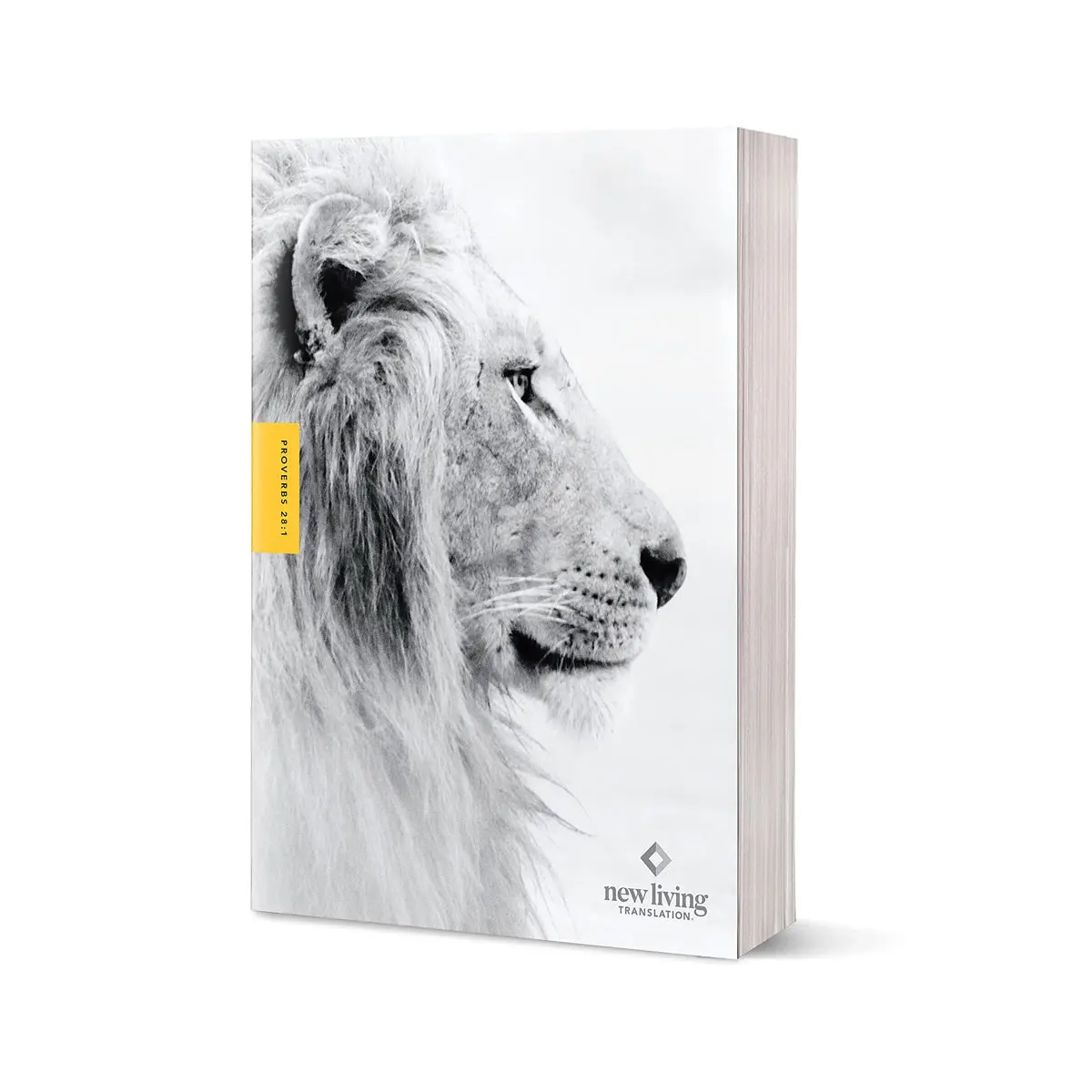 Nlt Courage For Life Filament Enabled Study Bible For Men (Paperback) 1