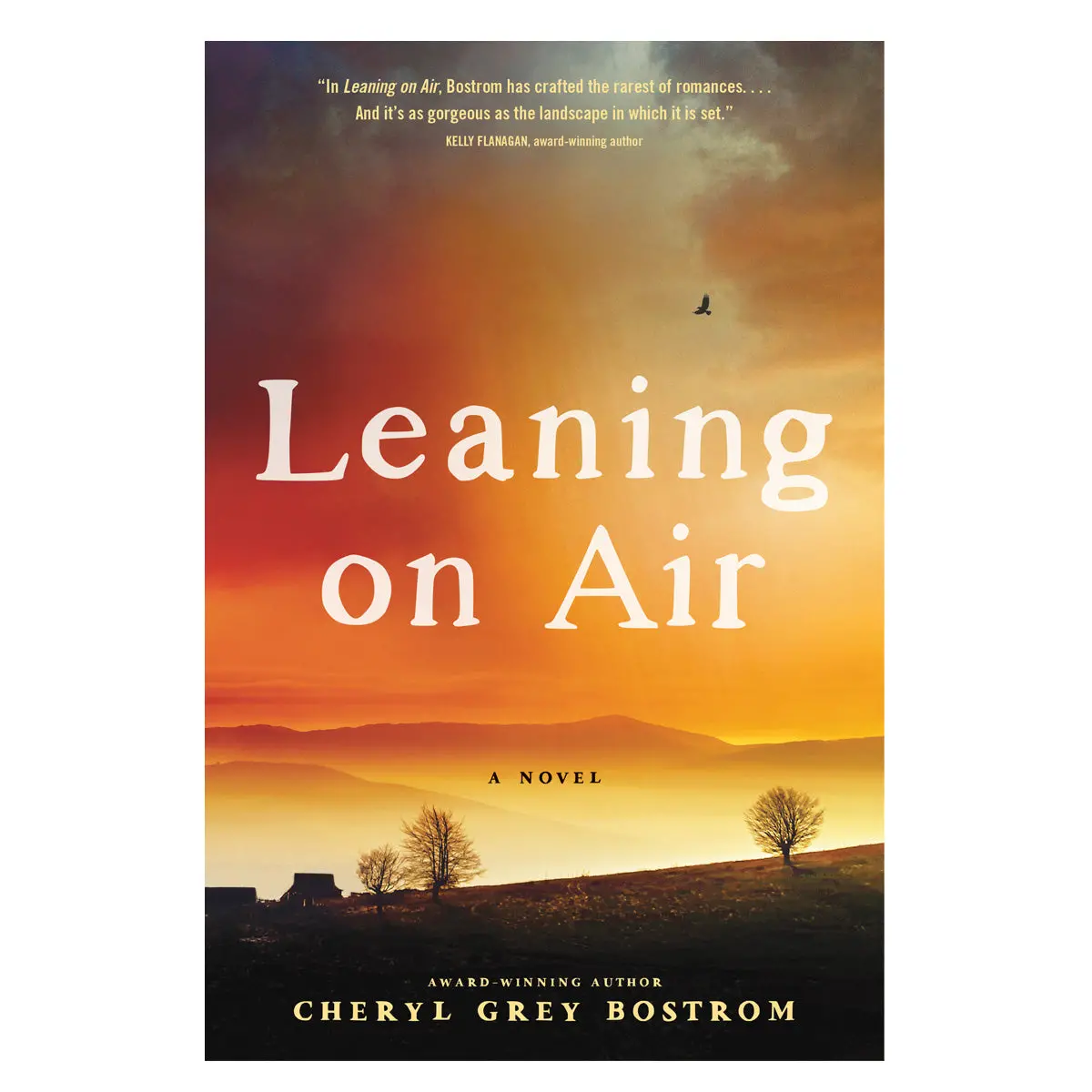 Leaning On Air: A Novel (Paperback) 1