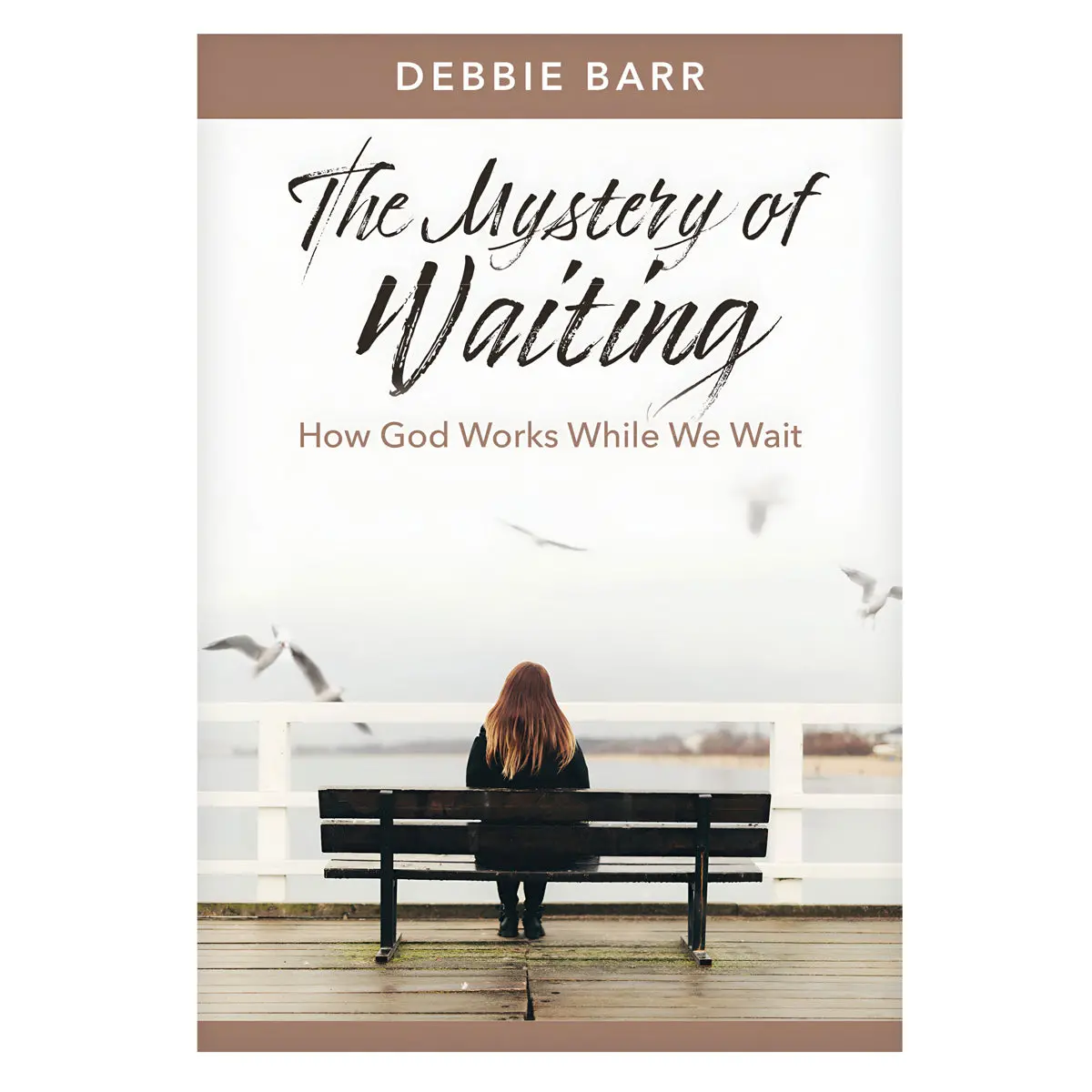 The Mystery Of Waiting: How God Works While We Wait - Hope And Healing (Paperback) 1