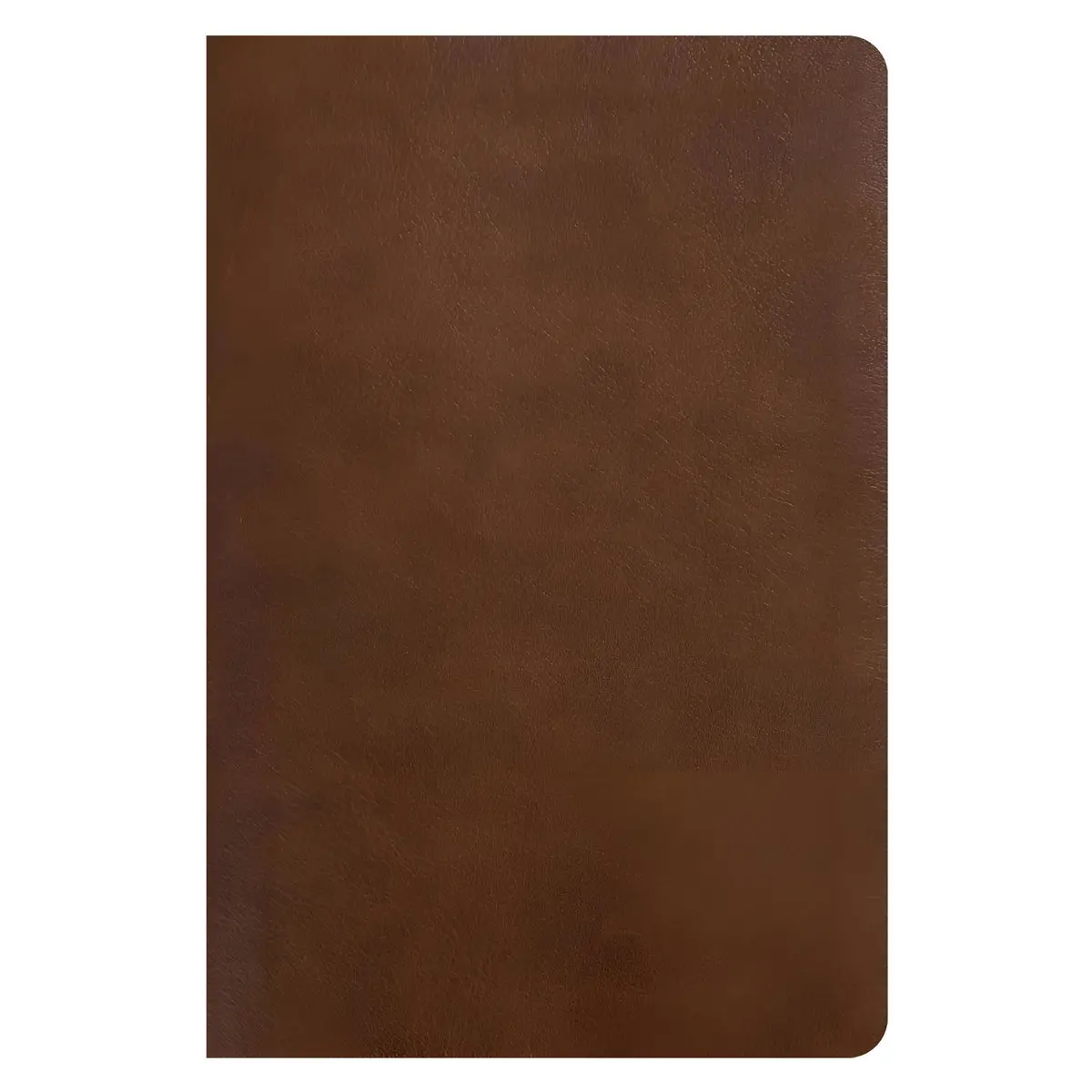 Nlt Rustic Brown Imitation Leather One Year Chronological Study Bible 2