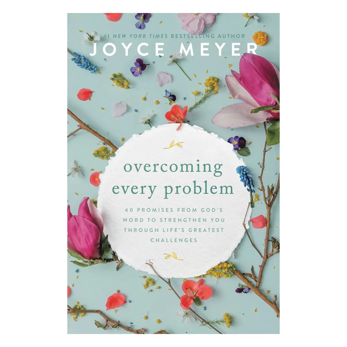 Overcoming Every Problem: 40 Promises From God's Word (Paperback) 1