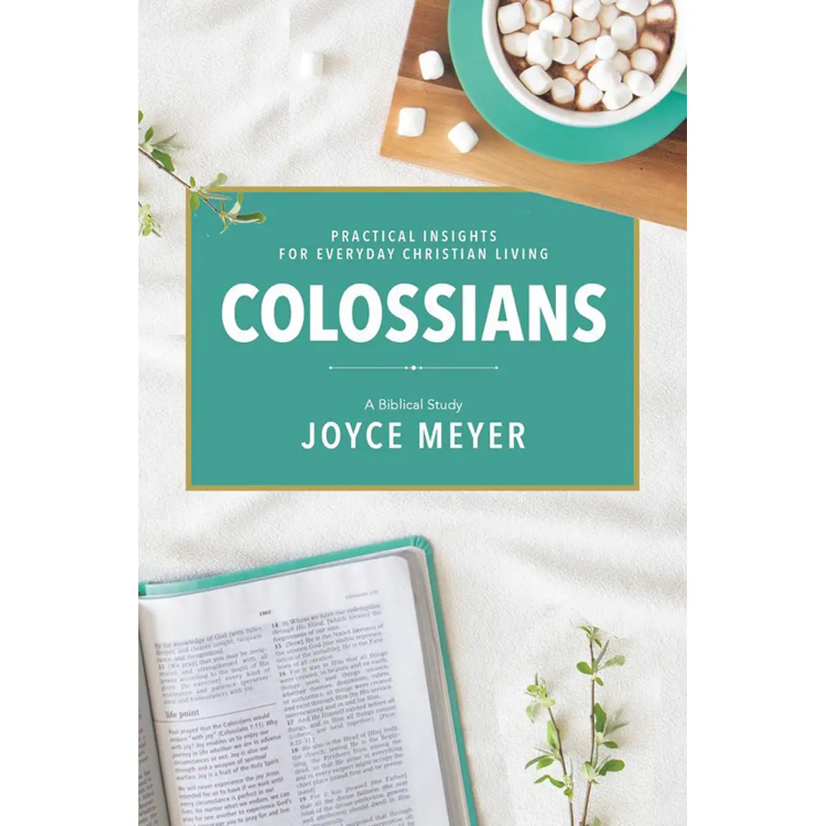 Colossians: A Biblical Study (Paperback) 1