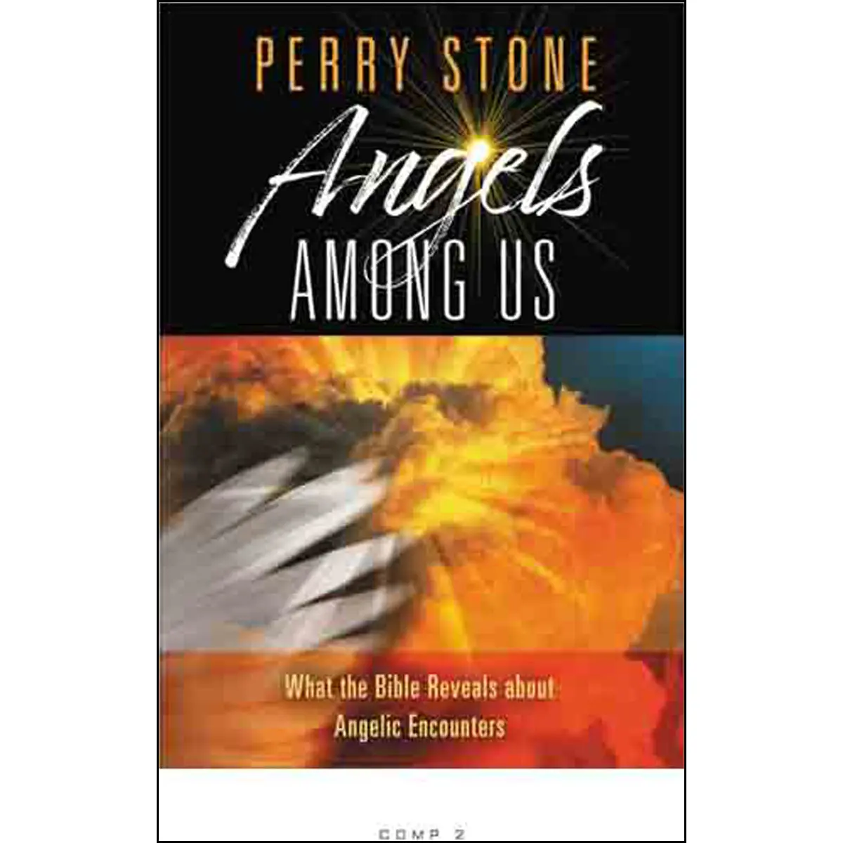 Angels Among Us: What The Bible Reveals About Angelic Encounters (Hardcover) 1